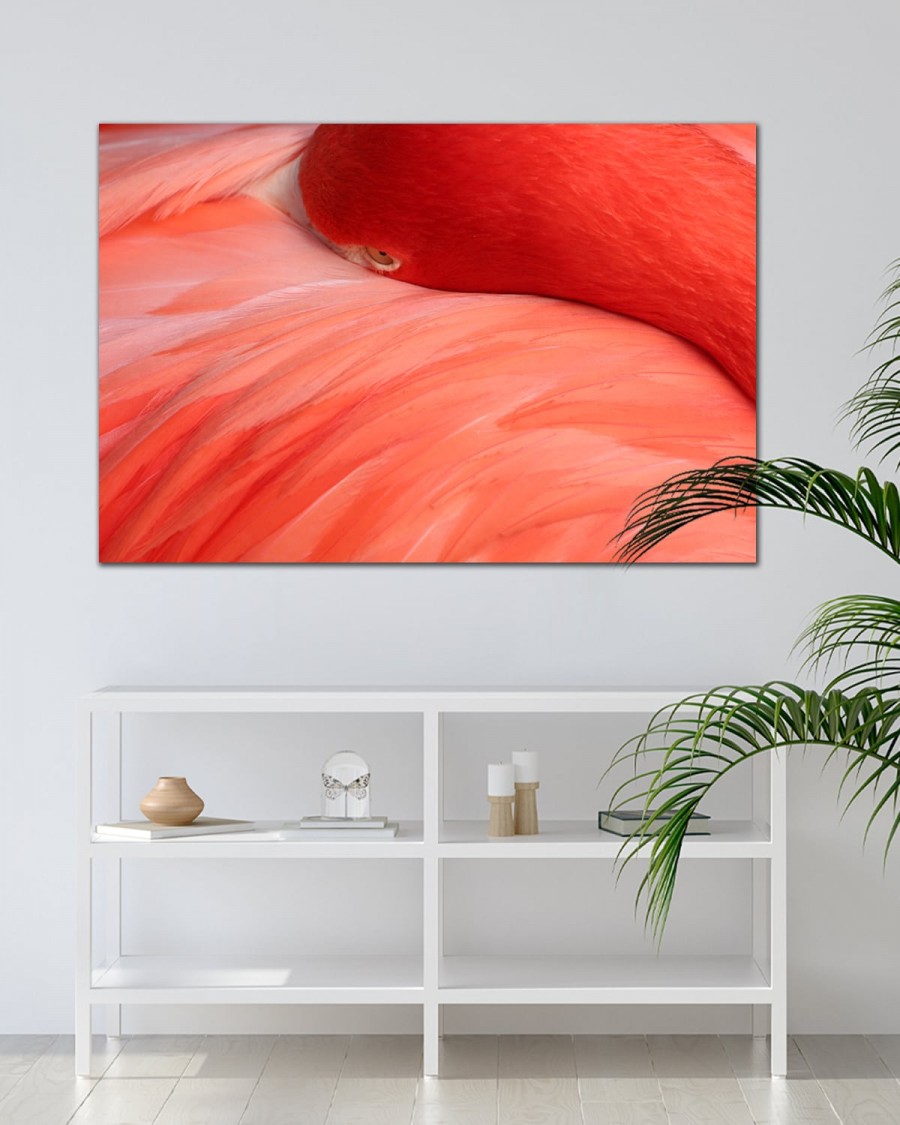 Interiør-Mock-Flamingo