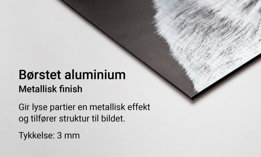 Fotokunst på børstet aluminium, Kun til Fotokunstnere, C-You Home