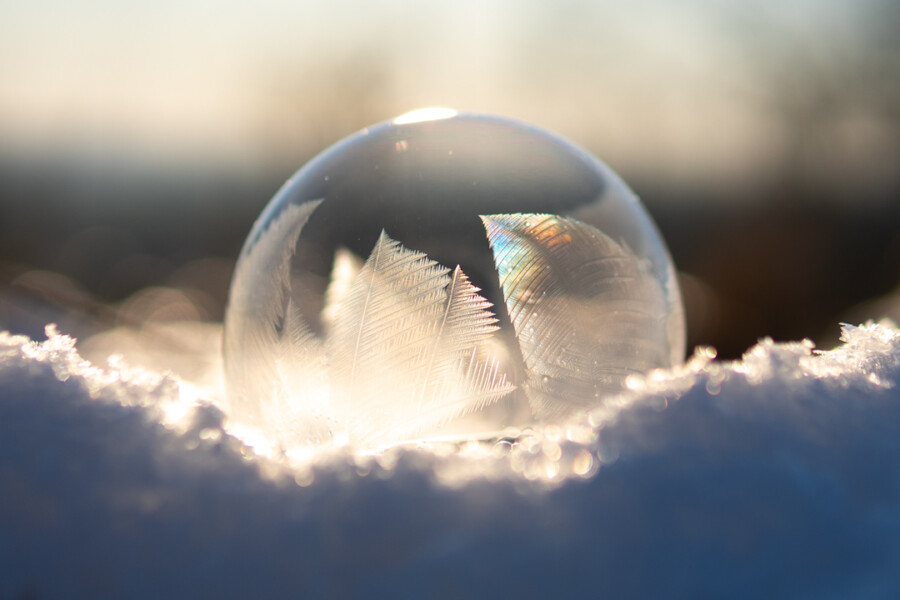 Frozen Bubbles, Veggbilder, C-You Home