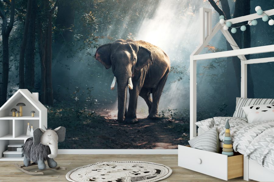 Elefant, Fototapet, C-You Home