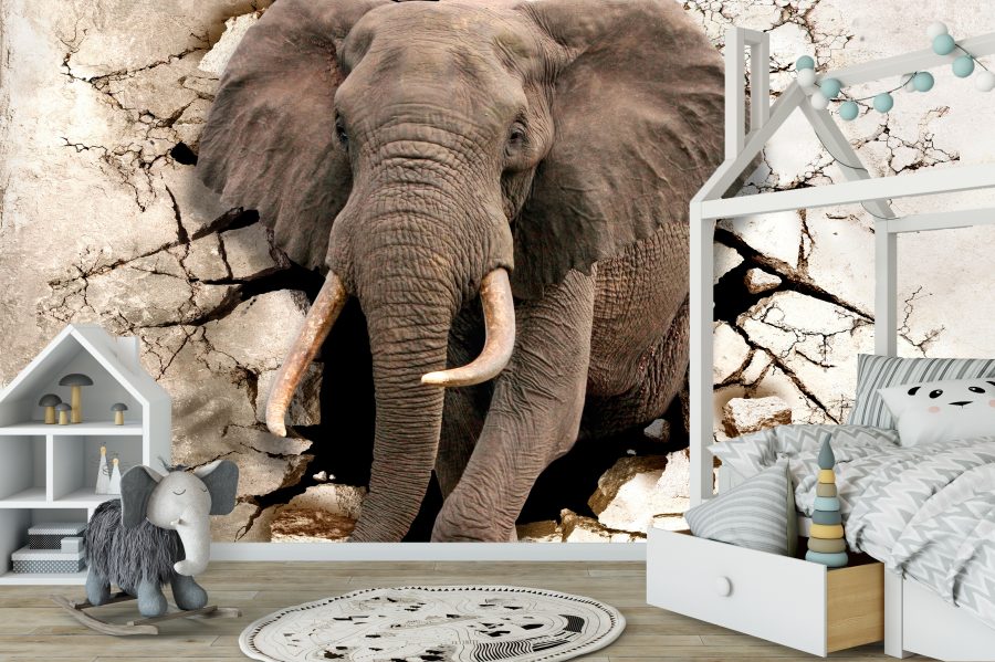 Elefant gjennom veggen, Fototapet, C-You Home