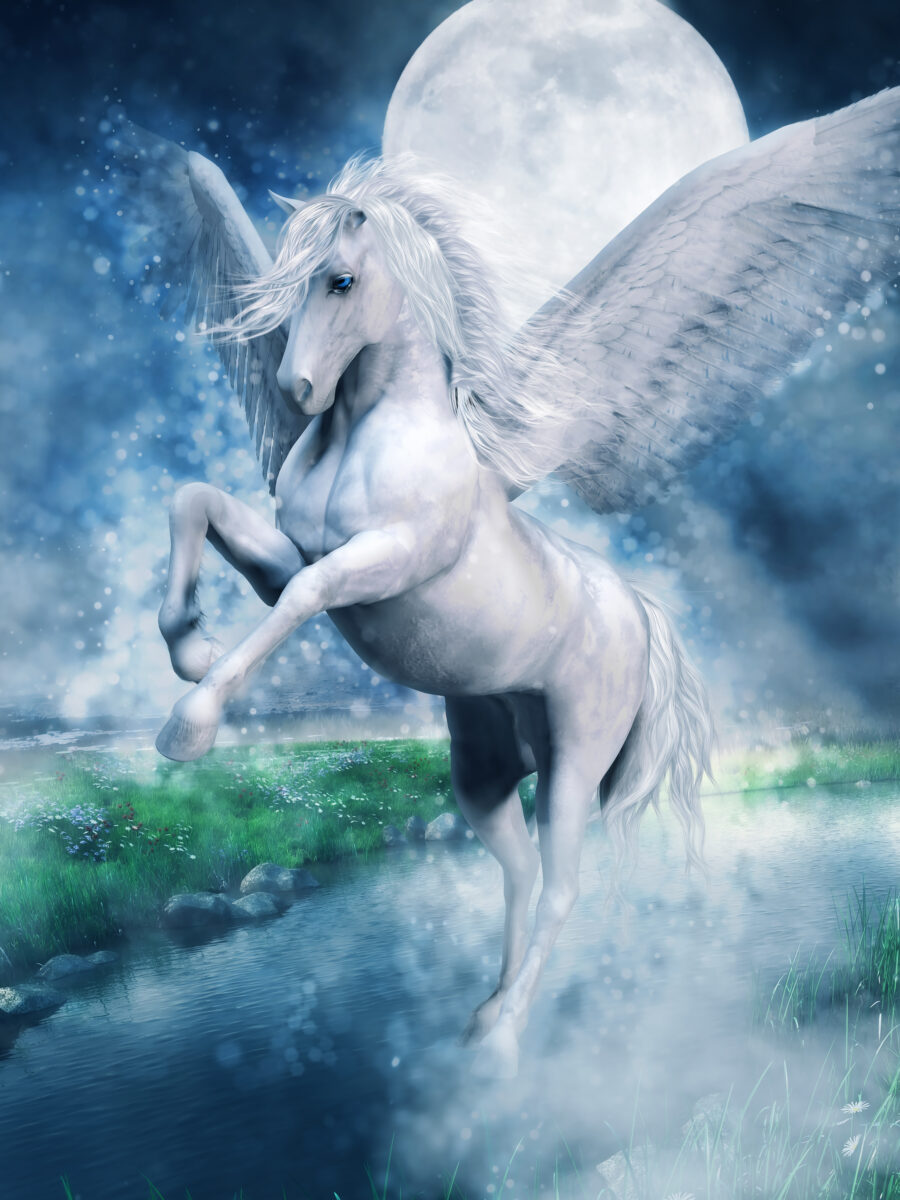 Pegasus (Kopi), Barnerom, C-You Home