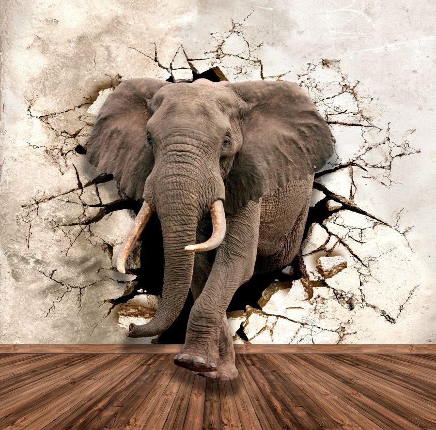 Elefant gjennom veggen, Fototapet, C-You Home