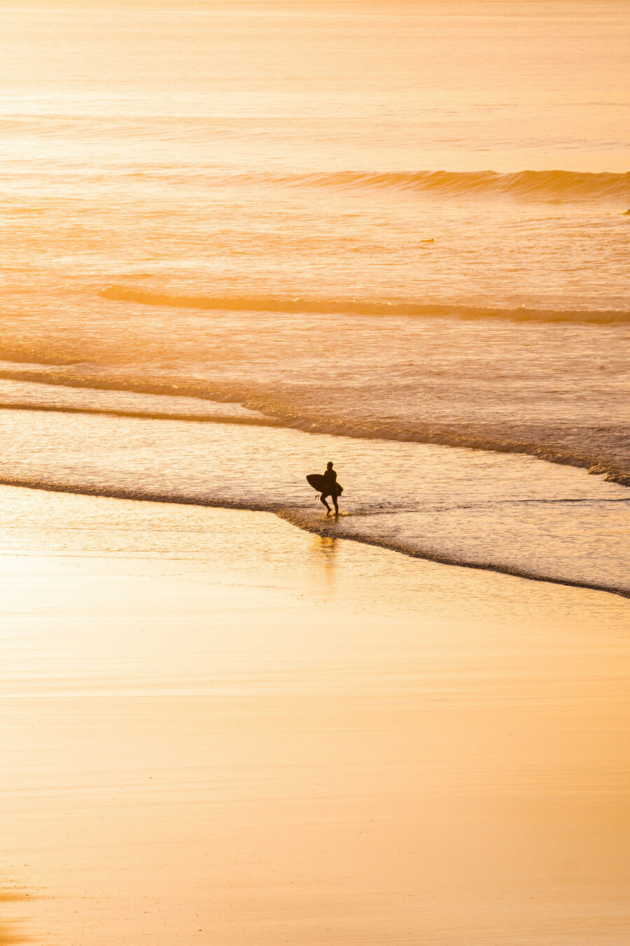 Surfing In The Sunset Veggbilde, Veggbilder, C-You Home