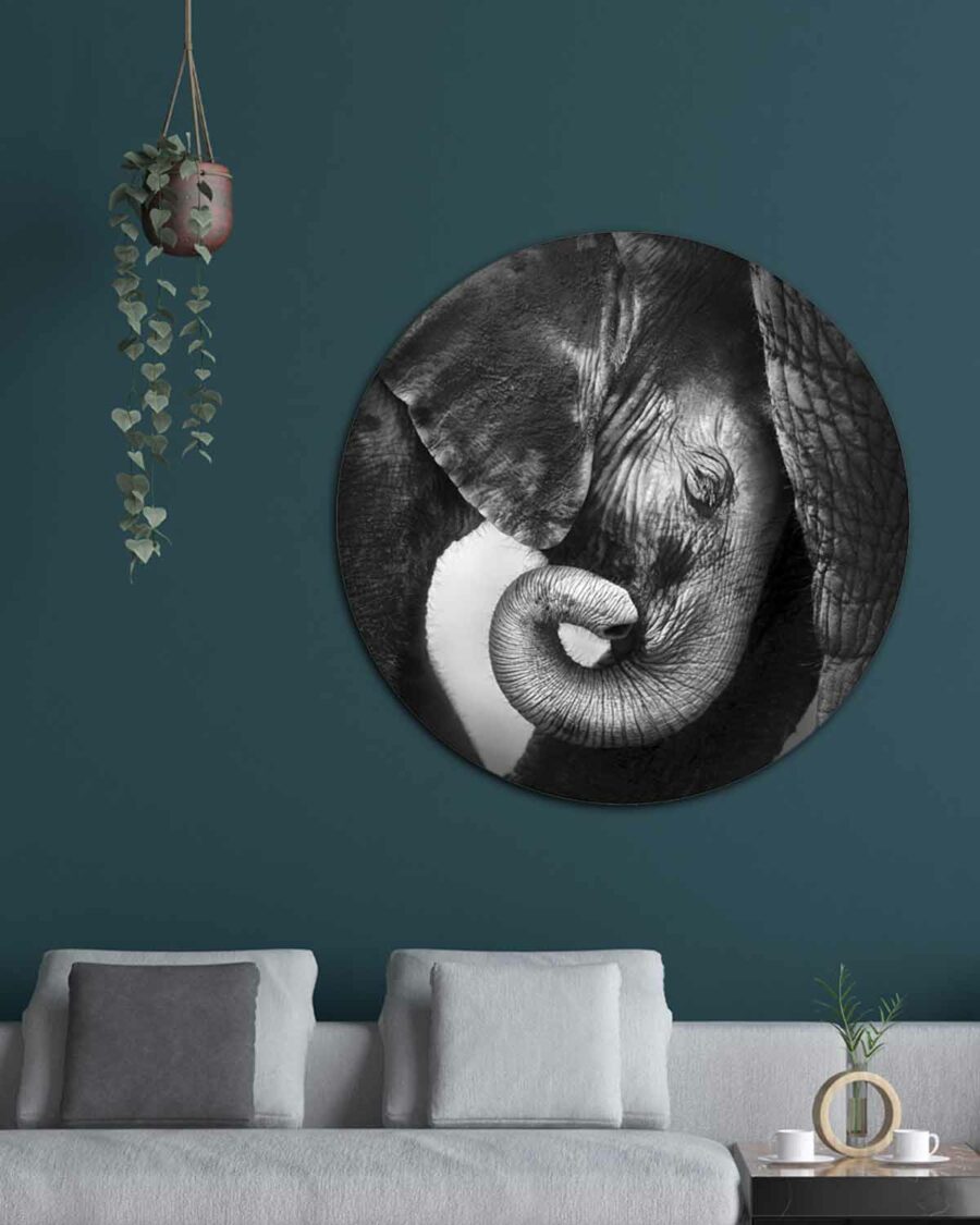 Baby Elephant Veggbilde Rundt, Veggbilder, C-You Home