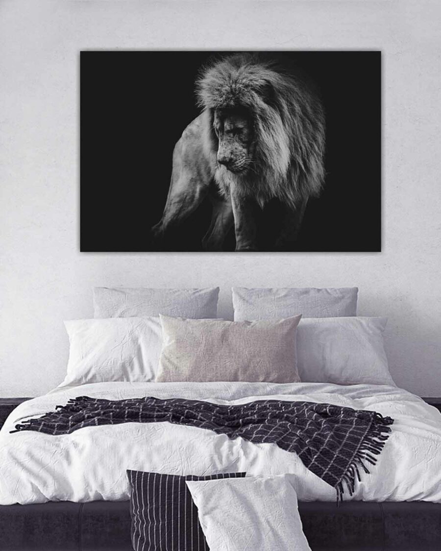 Lion in black & white Veggbilde, Veggbilder, C-You Home